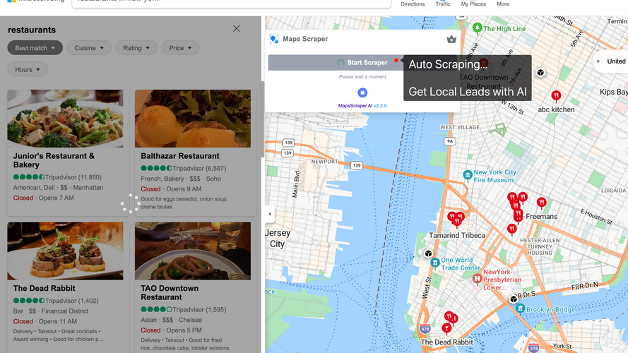 Maps Scraper AI