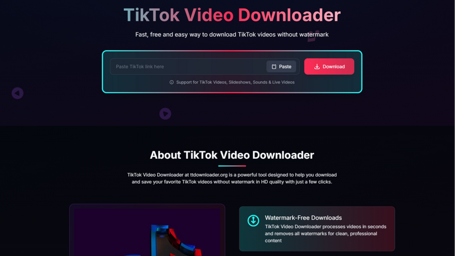 TikTok Video Downloader